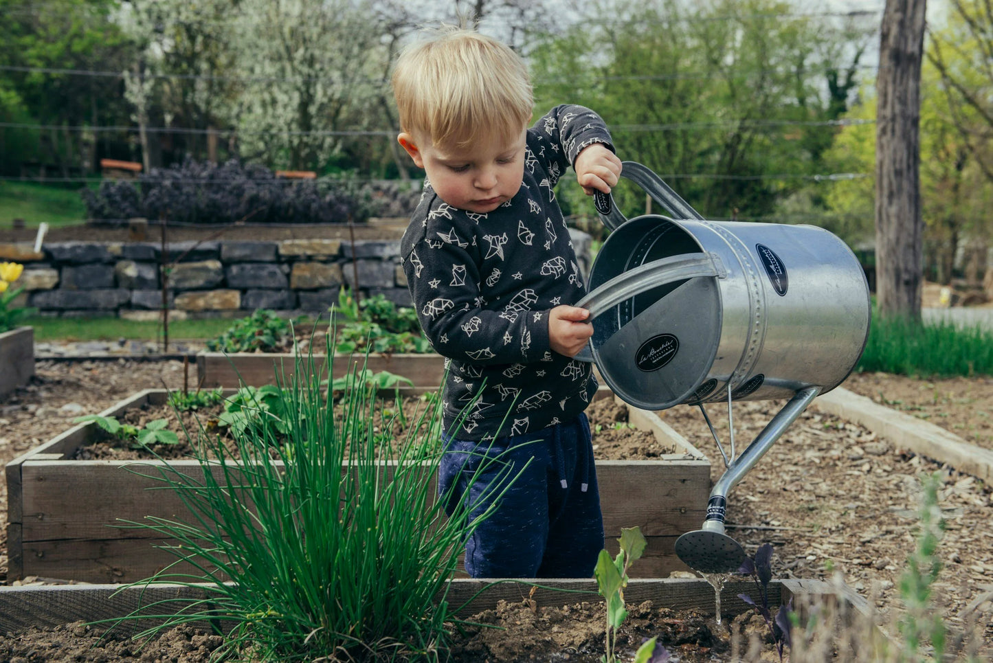 From Origins to Action: Exploring Earth Day's Past and Tips to Help the Future