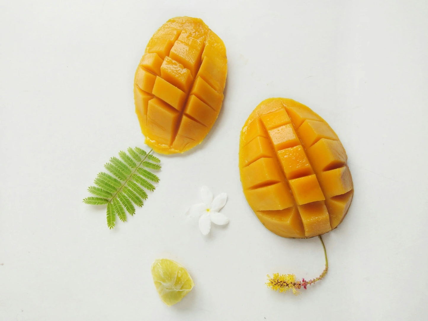 Mango Butter: The Quiet Hero Among Natural Butters